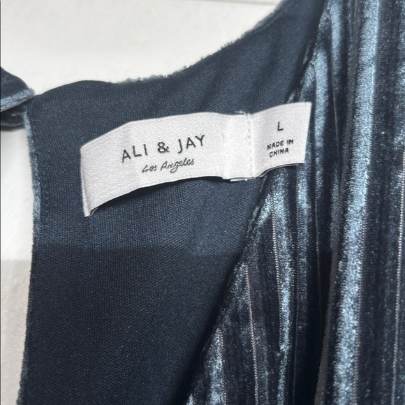 Anthropologie Ali & Jay Samantha Velvet Jumpsuit in Teal, L - Picture 4 of 7